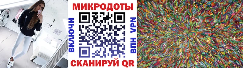 как найти закладки  Можга  Псилоцибиновые грибы MAGIC MUSHROOMS 