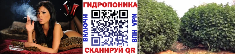 kraken маркетплейс  Можга  Марихуана LSD WEED 